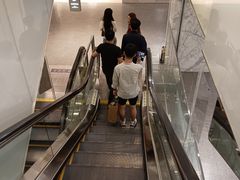 -乐天免税店(明洞店)