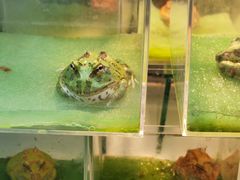 -三旗百汇商品城