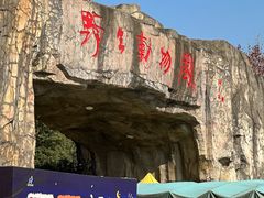 -合肥野生动物园