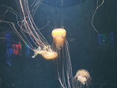 -成都浩海立方海洋公园