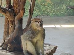 -济南野生动物世界