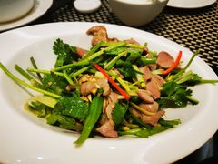 -新兴·金羊座·粤菜点心(乐峰店)