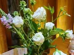 -天水蔬食料理(树德之光店)