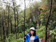 -铁山坪森林公园