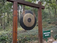 -老山国家森林公园
