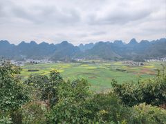 -万峰林风景区