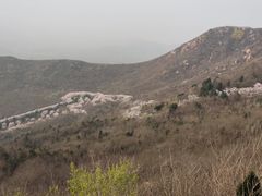 -樱花山风景区