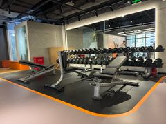 -健身专家Wellness Experts