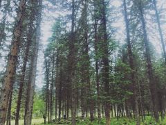 -硗碛藏寨·神木垒景区