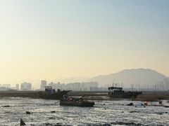 -北岐滩涂