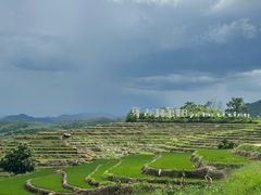 -牙胡梯田景区
