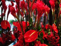 -新加坡文华东方酒店