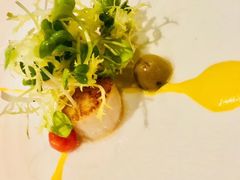 -蝶舍·MAISON PAPILLON