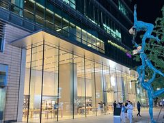 -Apple零售店(华贸购物中心店)