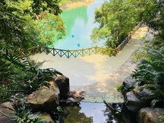 -广州市流溪河国家森林公园