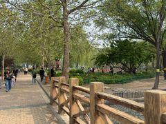 -太阳宫公园