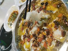 -杨记大丰收鱼庄(国贸店)