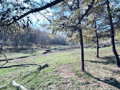 -塞罕坝国家级自然保护区