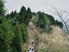 -五凤溪古镇