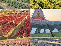 -盈香心动乐园