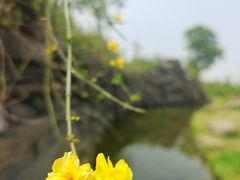 -滆湖低碳生态公园