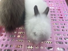 -三旗百汇商品城