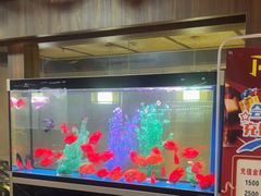 -臻享养生·SPA·影院式足道(汇臻店)
