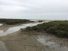 -北海金海湾红树林生态旅游区