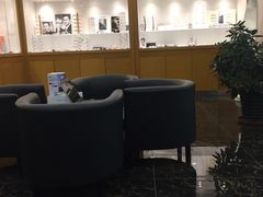-标准眼镜·蔡司官方授权店(和平路总店)