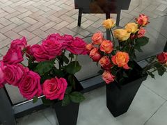 -Butchart布查德鲜花(花艺设计中心)