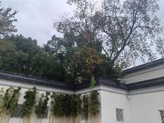 -杭州西子湖四季酒店-WL BISTRO西湖餐厅(灵隐路店)
