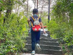 -千岛湖天屿景区