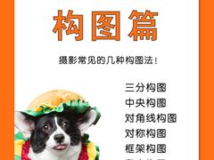 -CGWANG王氏教育(上海校区)