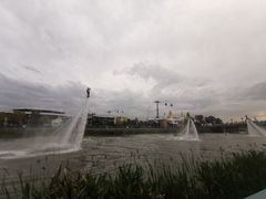 -上海海昌海洋公园