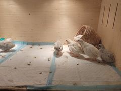 -御海8号温泉酒店