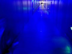 -白鹤梁水下博物馆