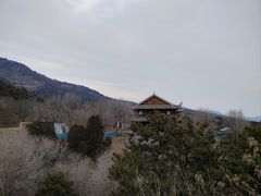 -北京西山国家森林公园