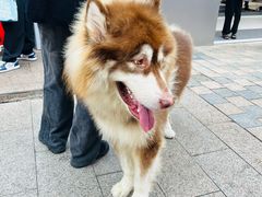 -黄兴南路步行商业街