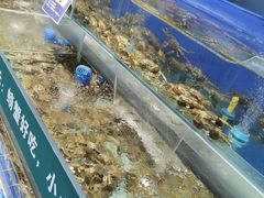 水产区-圣罗巴海鲜自助(黑金店)