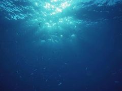 -沈阳海洋探索中心