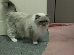 -零纪元VR体验馆·桌游(黄浦店)