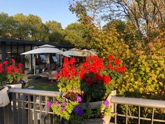 -昆山城市生态森林公园