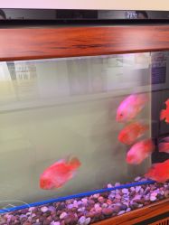 -长沙雅美医疗美容医院