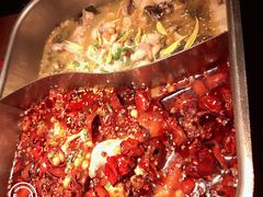 -舒来喜鱼锅(伊河路店)