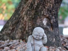 -龙华寺