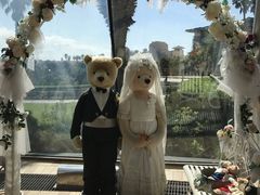 -济州岛泰迪熊博物馆