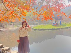-田野绿世界