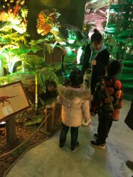 -恐龙探索乐园(磁器口店)