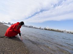 -台场海滨公园船码头