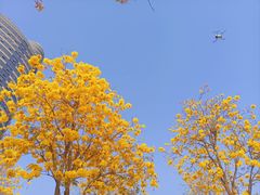 -洲头咀公园